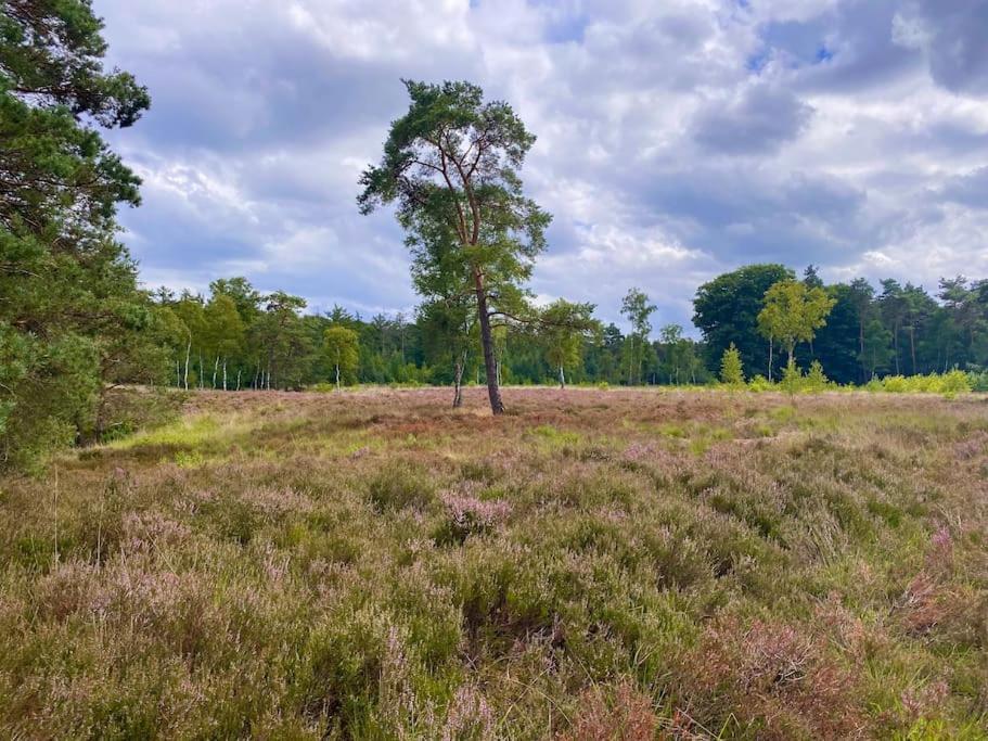 Knus Huisje Op Kindvriendelijk Park Met Zwembad أوتيرلو المظهر الخارجي الصورة